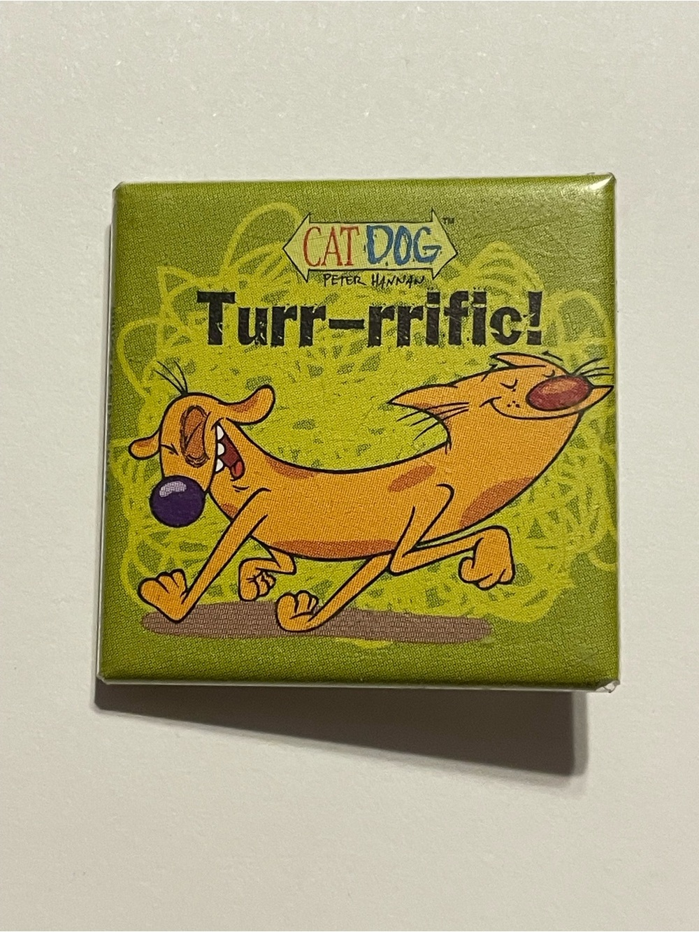 Vintage Cat Dog Nickelodeon Button Pin #0222